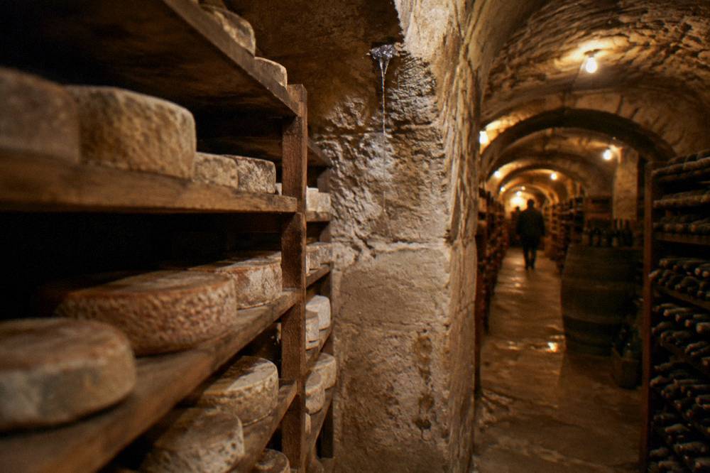 Stone-walled underground cellar with wooden shelves of aging cheese and low lighting