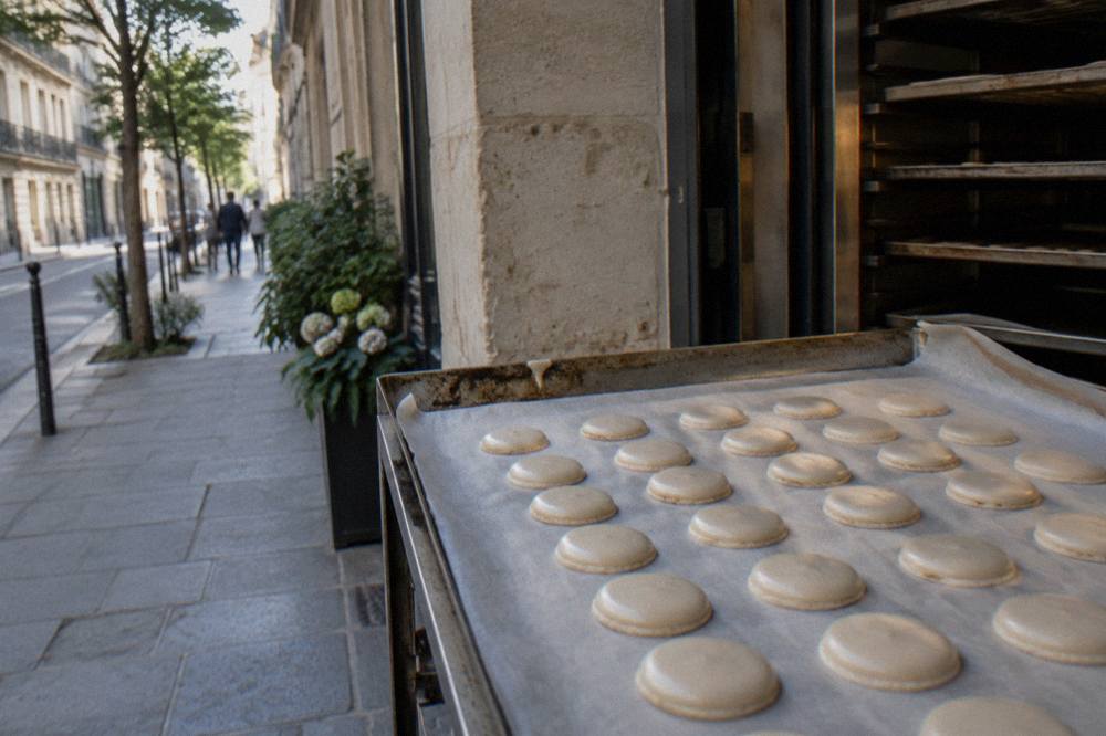 Piped macaron shells in neat rows on a baking tray before the oven