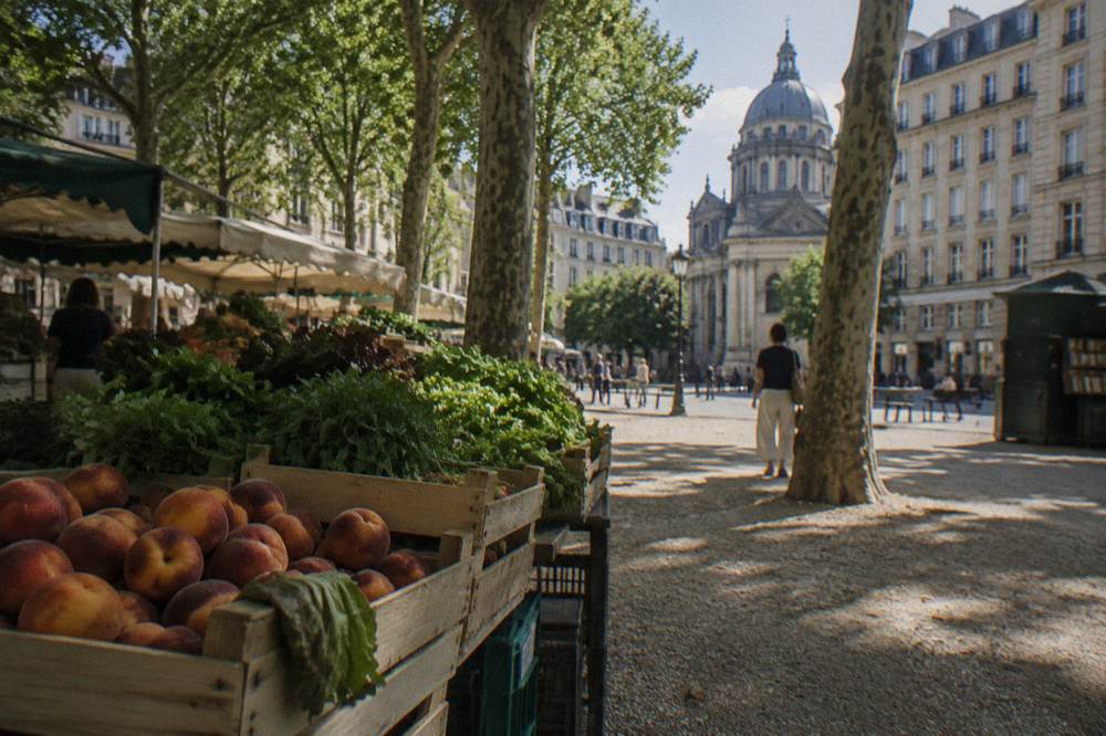 Open-air market stalls with produce crates under plane trees on a Paris square